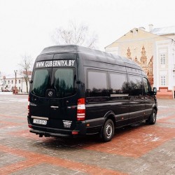 mercedes-benz-sprinter-315-6